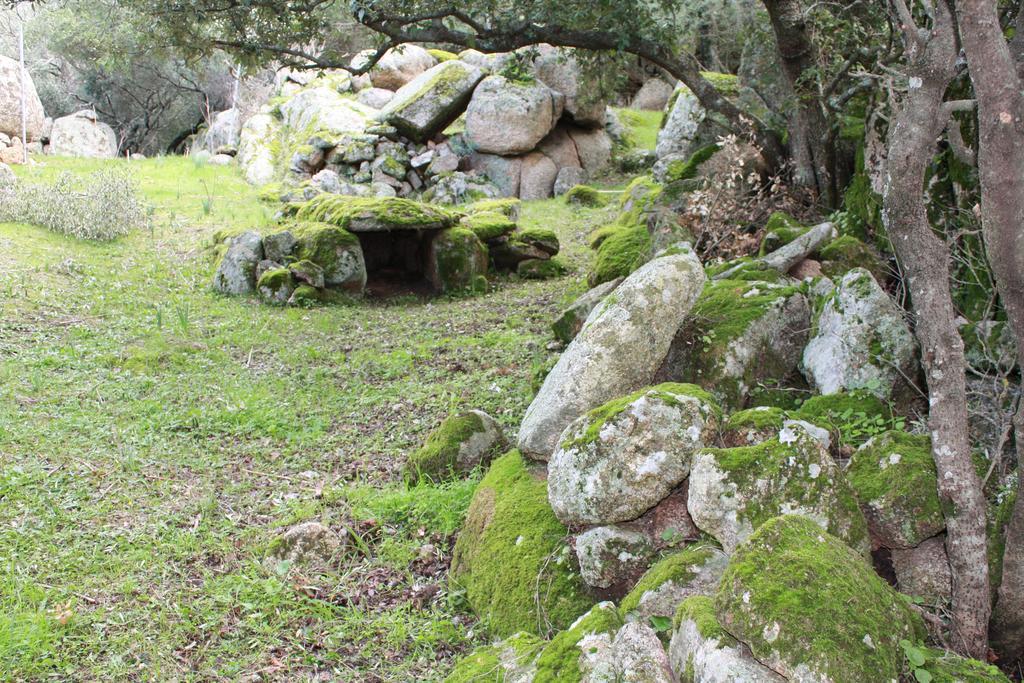 Agriturismo B&B Domo De Resteblas Berchidda Extérieur photo