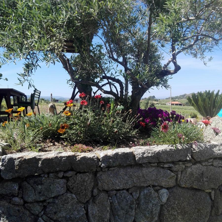 Agriturismo B&B Domo De Resteblas Berchidda Extérieur photo
