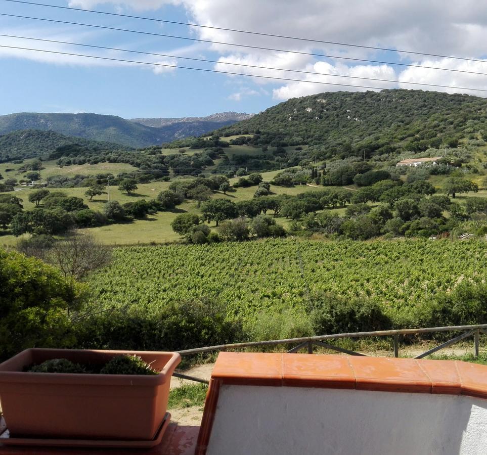 Agriturismo B&B Domo De Resteblas Berchidda Extérieur photo