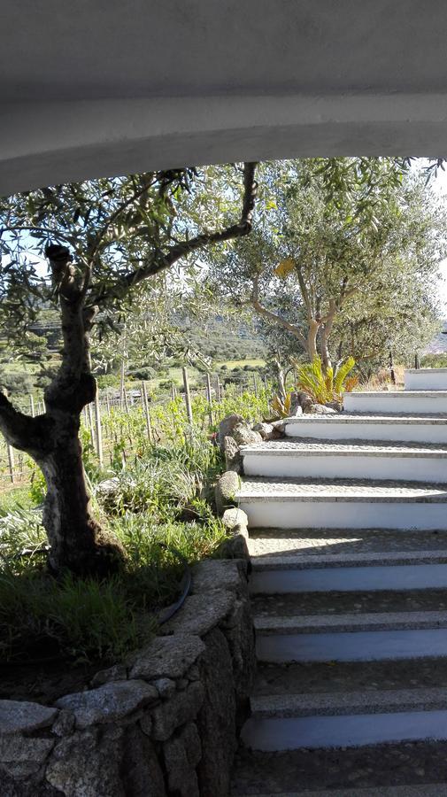 Agriturismo B&B Domo De Resteblas Berchidda Extérieur photo